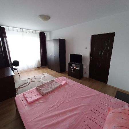 Studio Gorjului Bukarest Kültér fotó